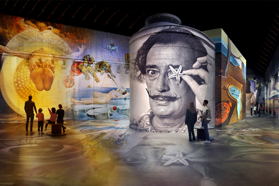 Dalí: The Endless Enigma