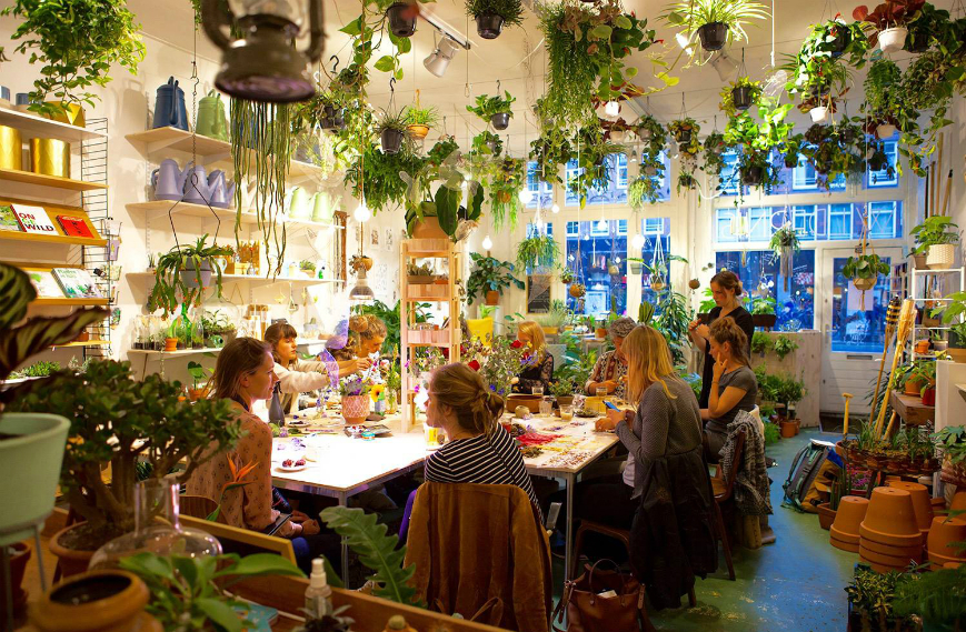wildernis-amsterdam-planten-workshop