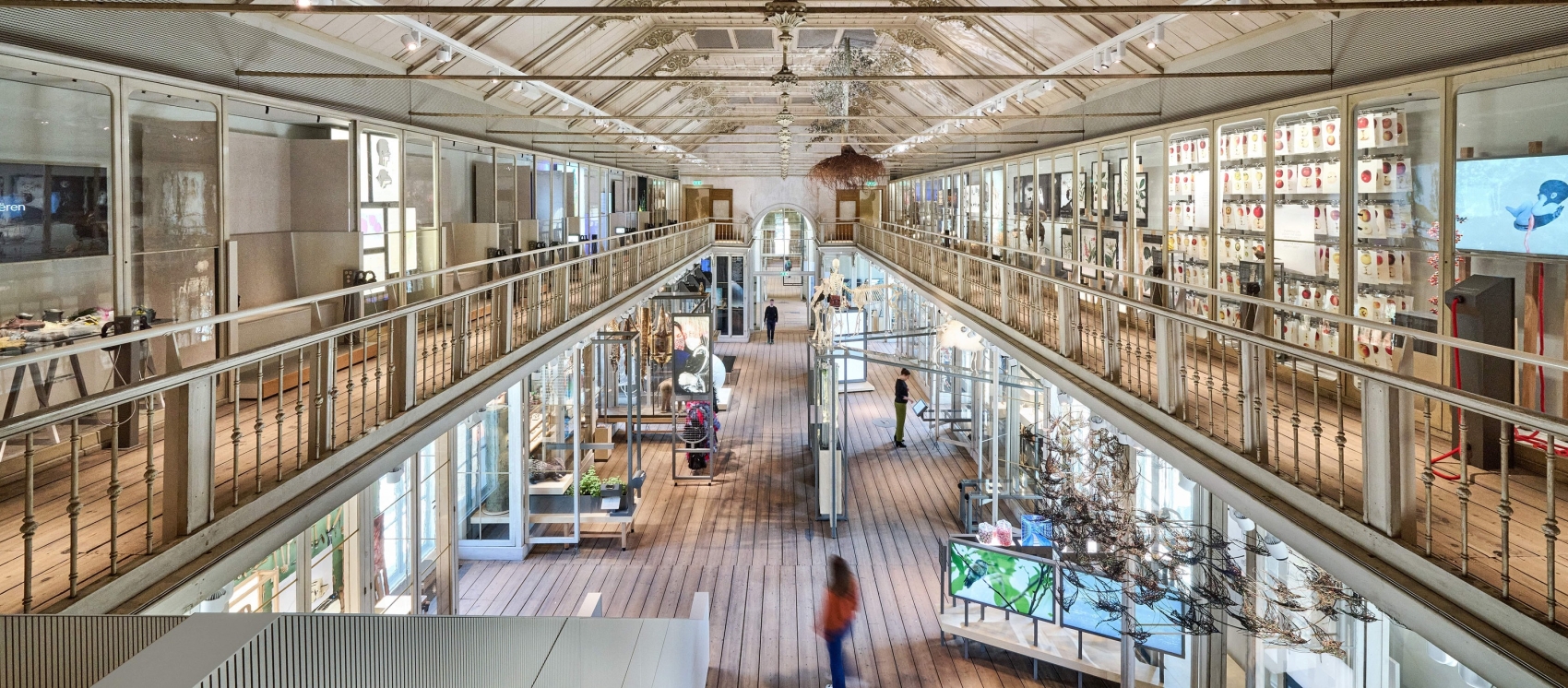 Museo Groote: descubra las similitudes entre el hombre y la naturaleza